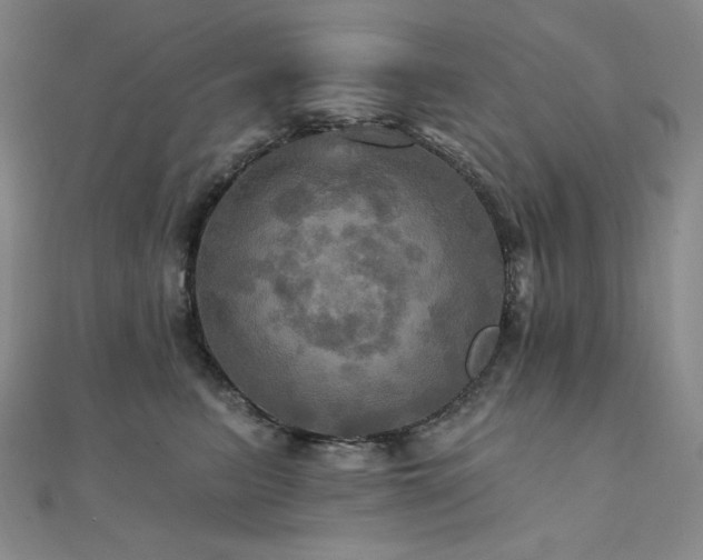 X0000112100615200908041512