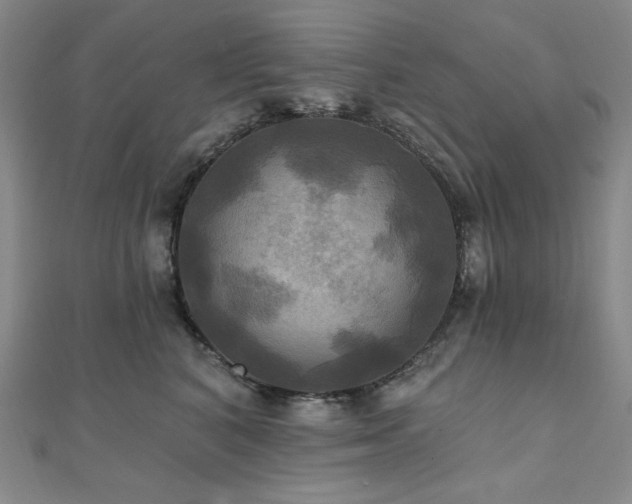 X0000112100616200908041512