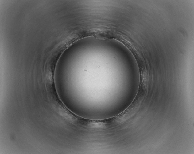 X0000112100617200908041512