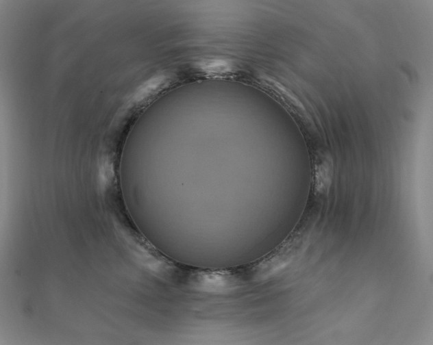 X0000112100618200908041512