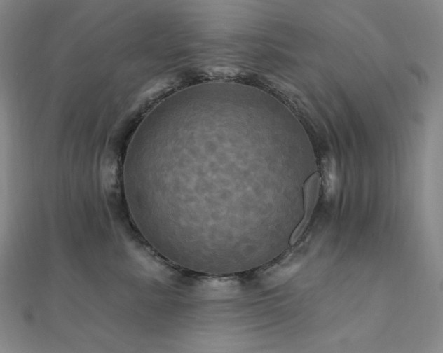 X0000112100619200908041512