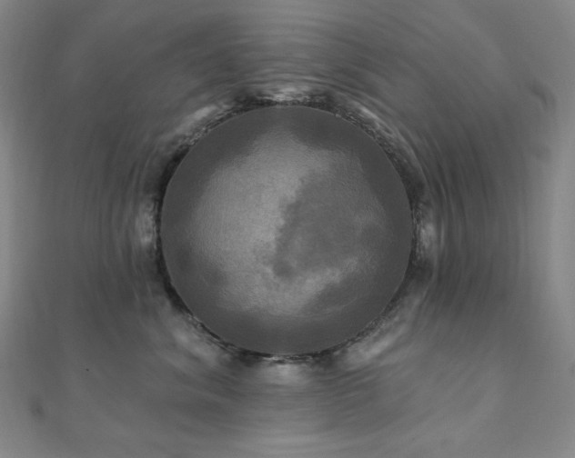 X0000112100620200908041512