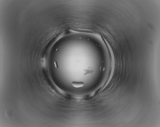 X0000112100621200908041512