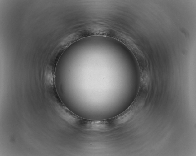 X0000112100622200908041512
