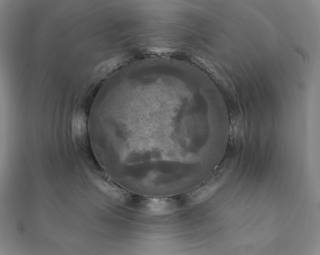X0000112100623200908041512
