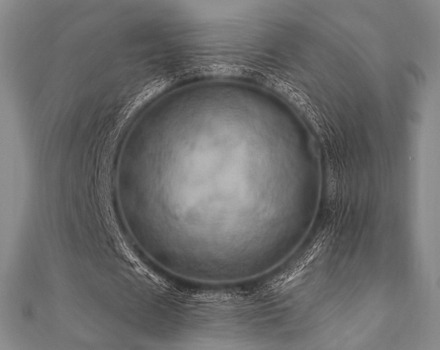 X0000112100625200908041512