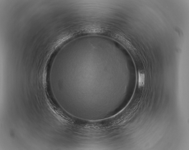 X0000112100627200908041512