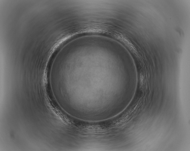 X0000112100628200908041512
