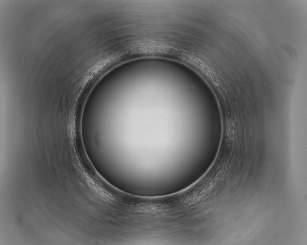 X0000112100629200908041512