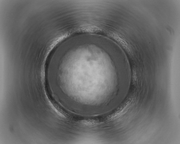 X0000112100630200908041512