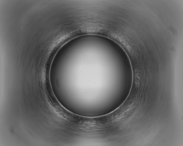 X0000112100631200908041512