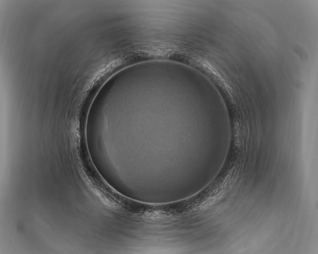 X0000112100634200908041512