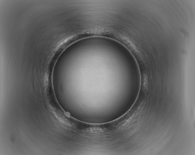 X0000112100636200908041512