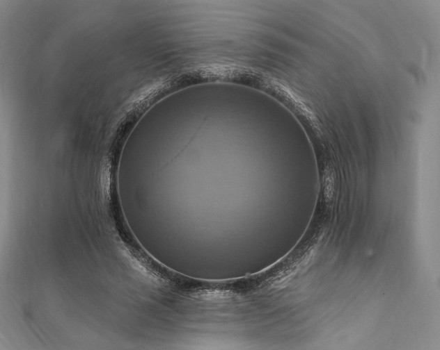 X0000112100637200908041512