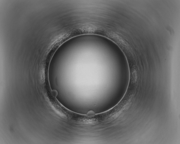 X0000112100638200908041512