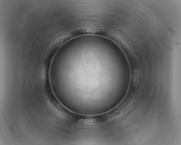 X0000112100639200908041512