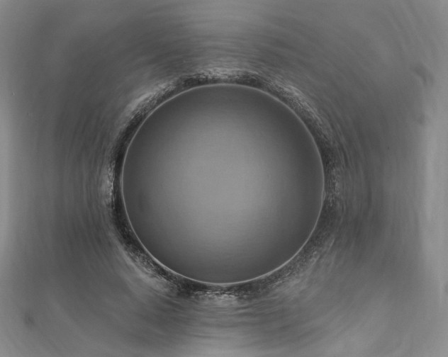 X0000112100640200908041512