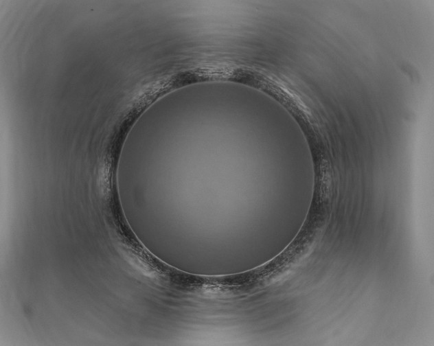 X0000112100641200908041512