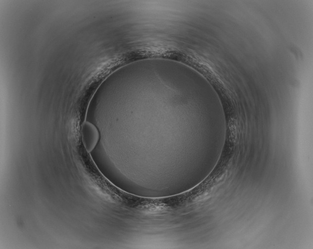 X0000112100642200908041512