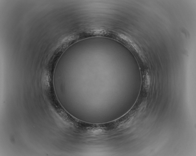 X0000112100643200908041512