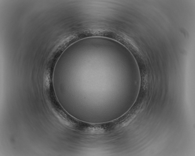 X0000112100644200908041512