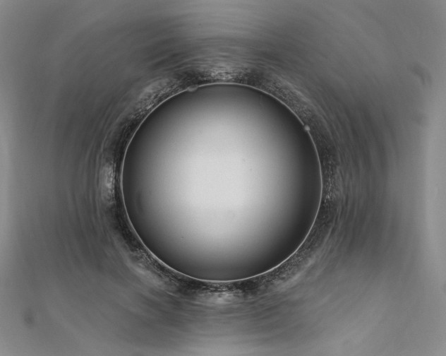 X0000112100646200908041512