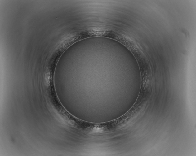 X0000112100647200908041512