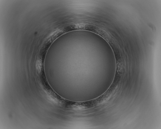 X0000112100648200908041512
