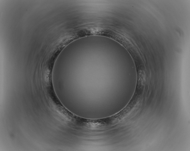 X0000112100650200908041512