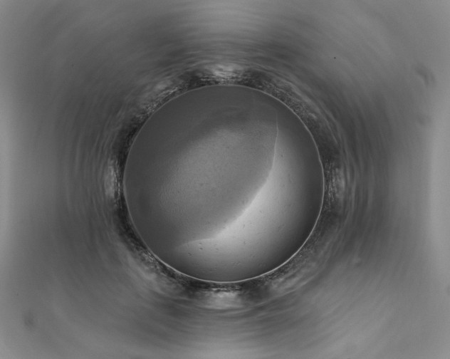 X0000112100651200908041512