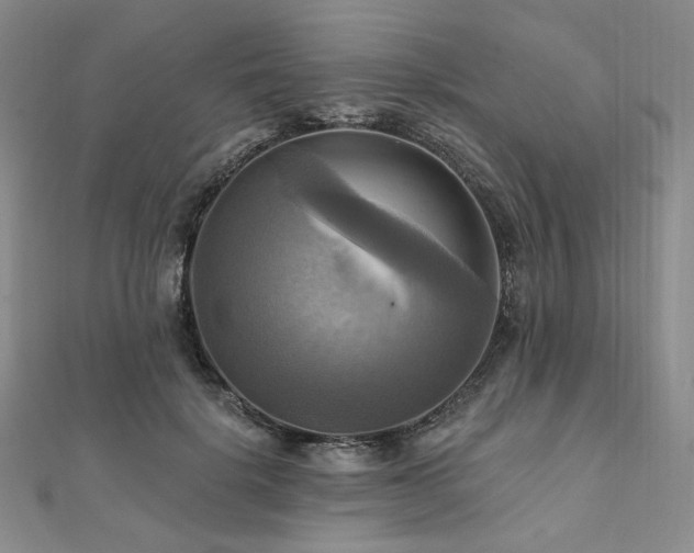 X0000112100652200908041512