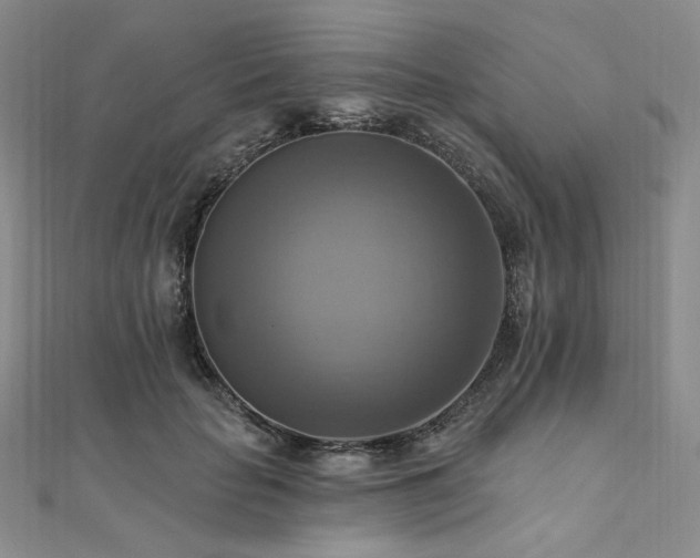 X0000112100653200908041512