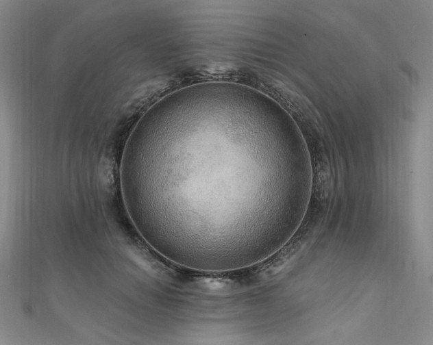 X0000112100654200908041512