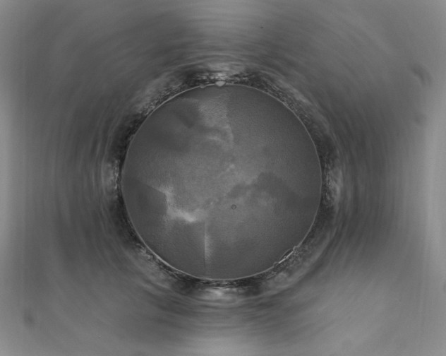 X0000112100657200908041512