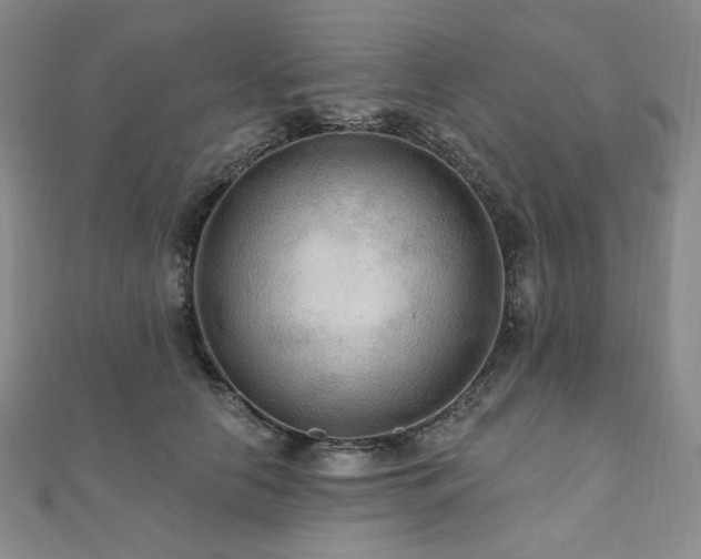 X0000112100658200908041512