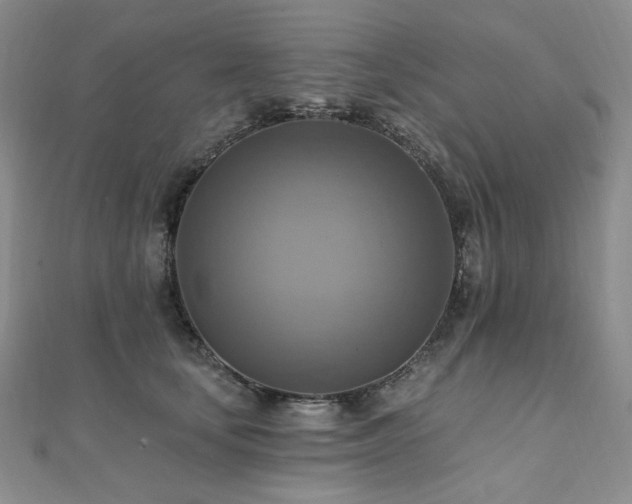 X0000112100659200908041512