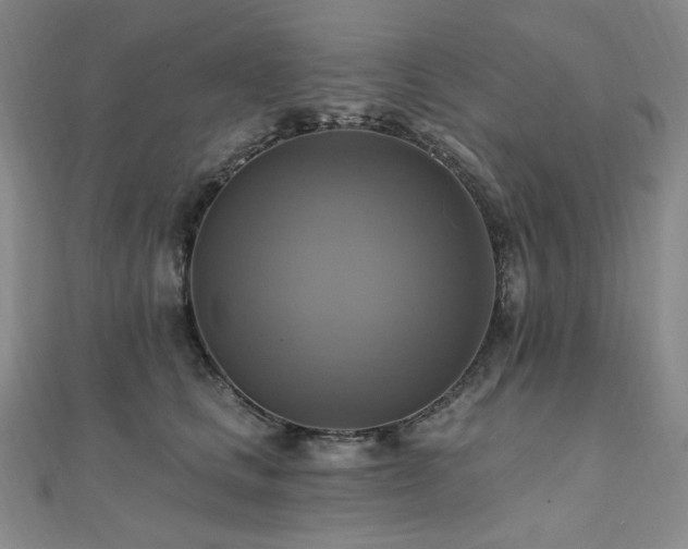 X0000112100661200908041512