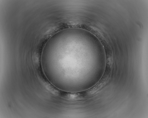 X0000112100662200908041512