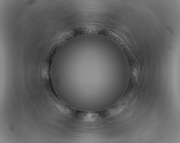 X0000112100663200908041512