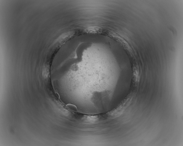 X0000112100665200908041512