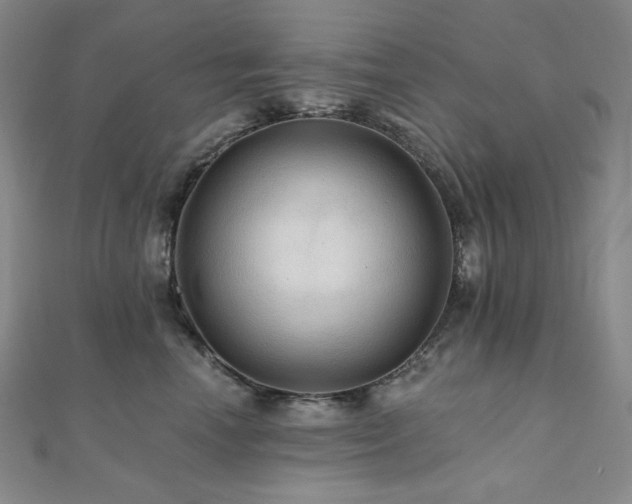 X0000112100666200908041512