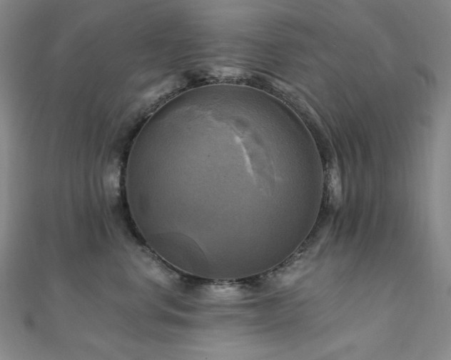 X0000112100668200908041512