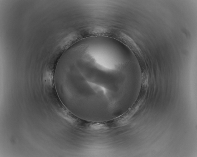 X0000112100669200908041512