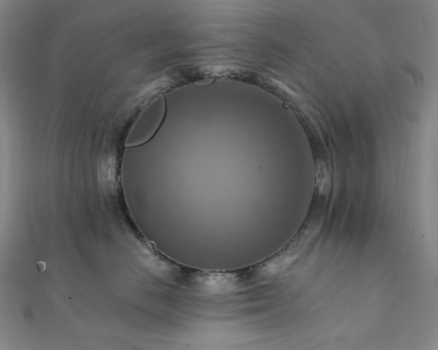 X0000112100670200908041512