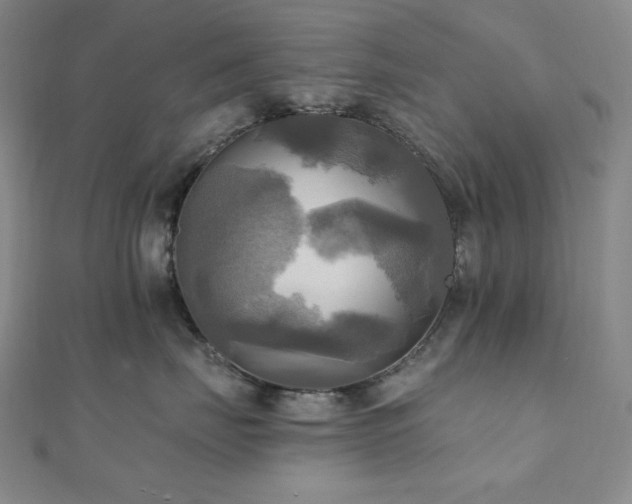 X0000112100671200908041512