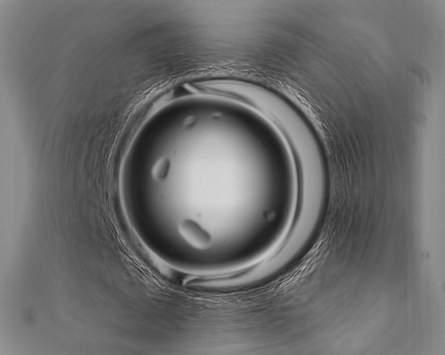 X0000112100673200908041512