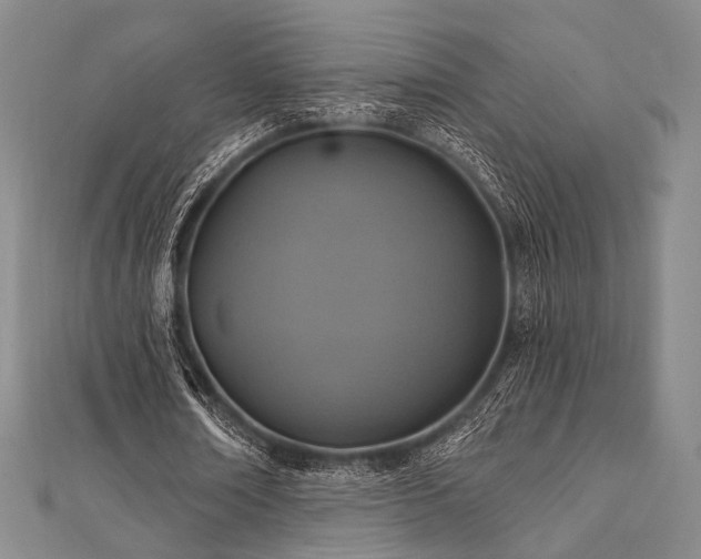 X0000112100674200908041511