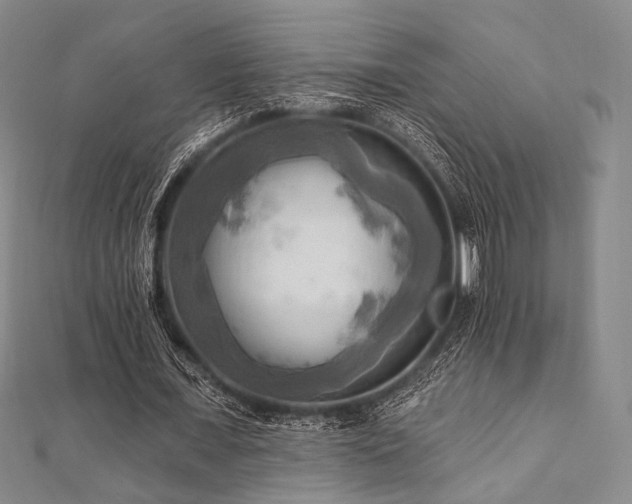 X0000112100675200908041511