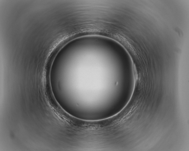 X0000112100676200908041511