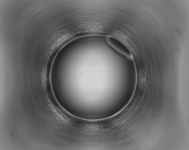 X0000112100677200908041511